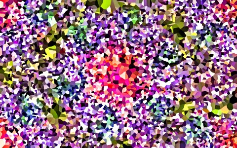 Garden nature spring