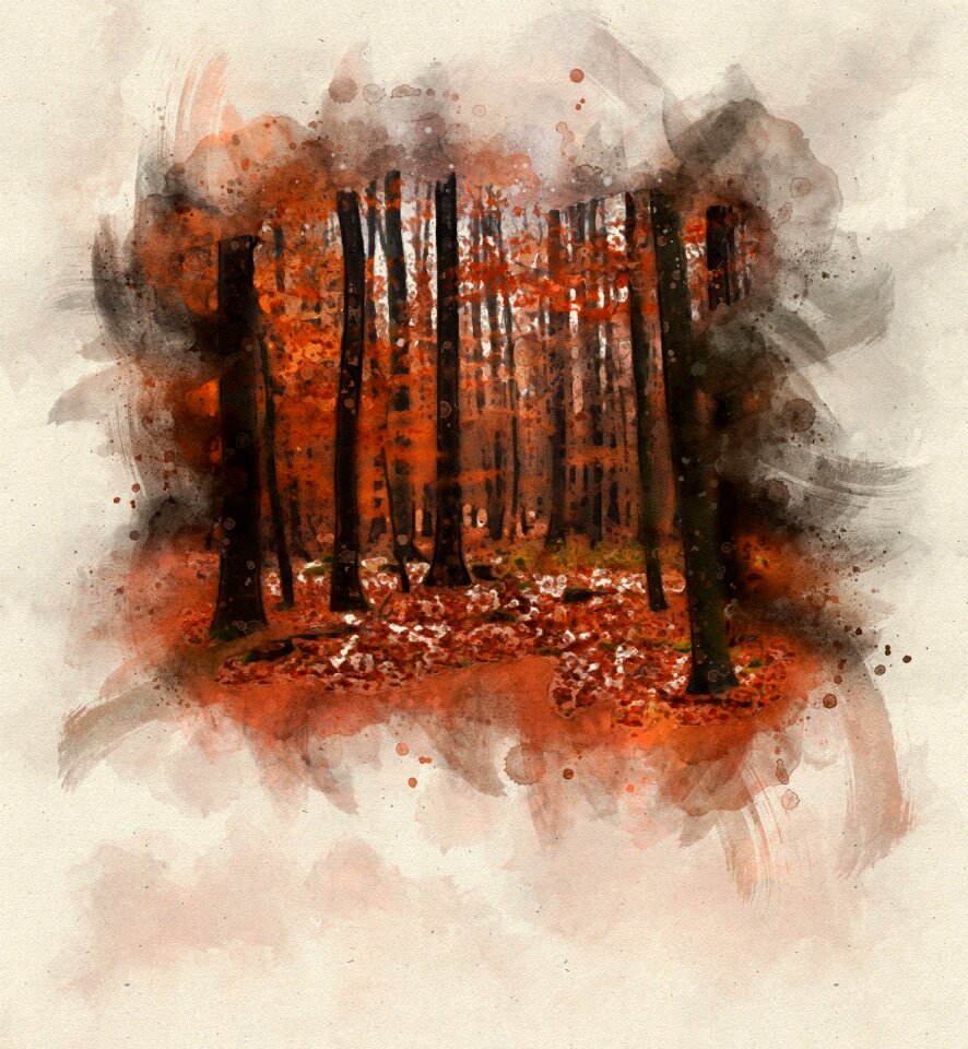 Animal outdoors wilderness