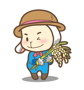 Hat rice hat bamboo hat