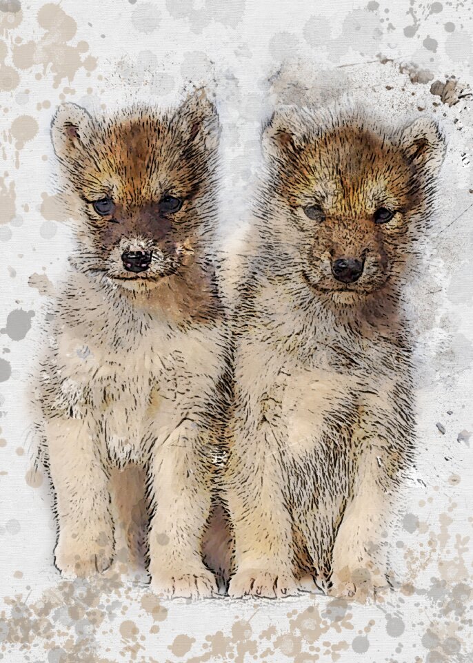Expensive natural puppies