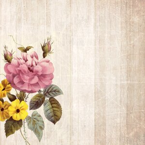 Scrapbooking paper texture
