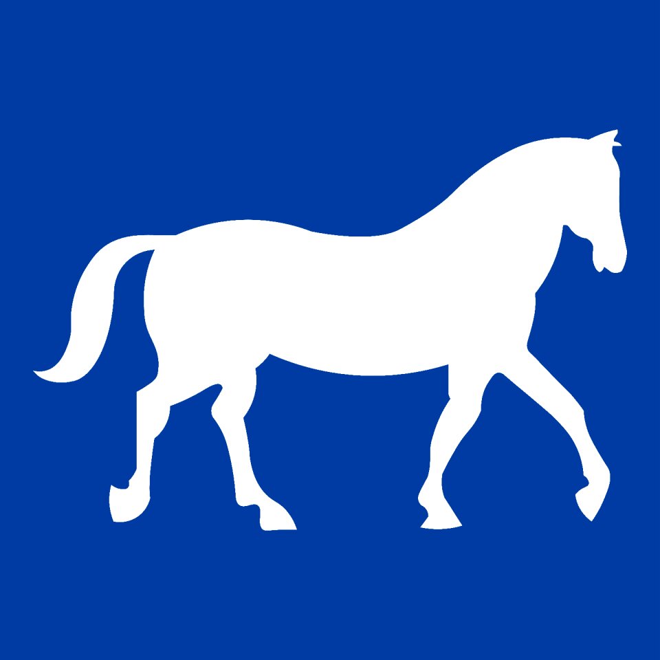Horses pasture landscape