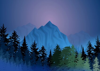 Mystic forest fog