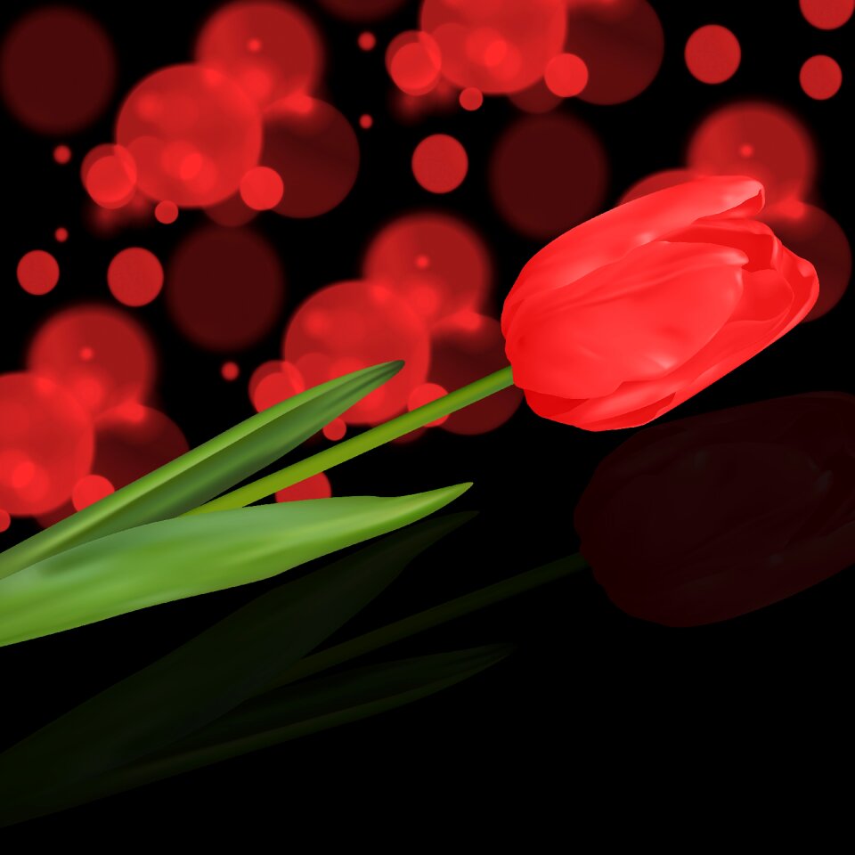 Flower color pink