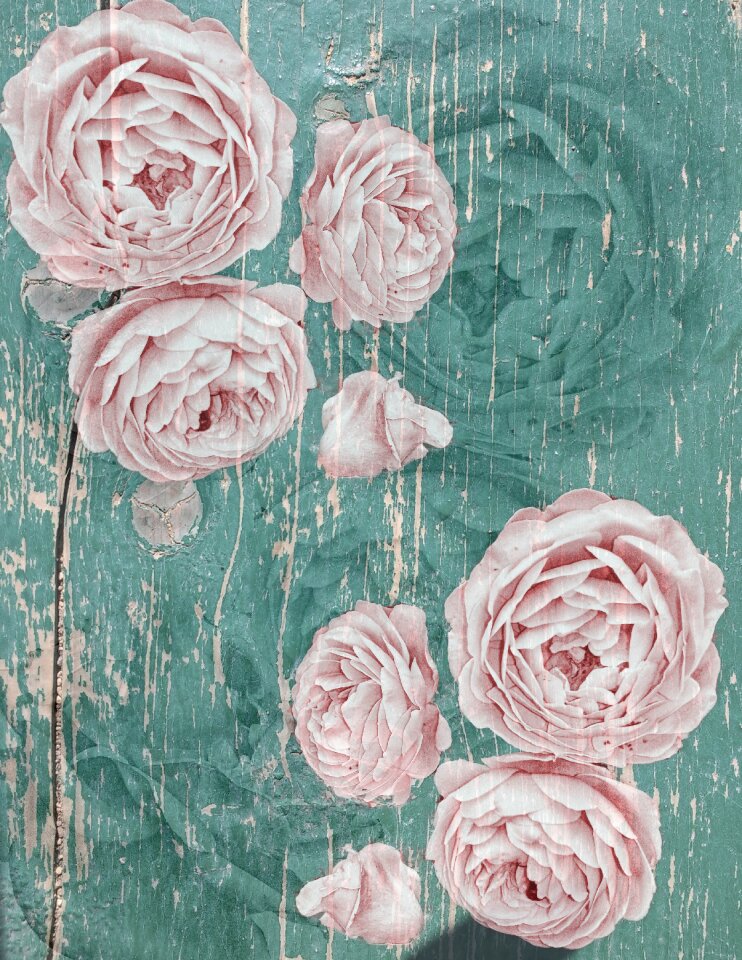 Distressed wood pink green