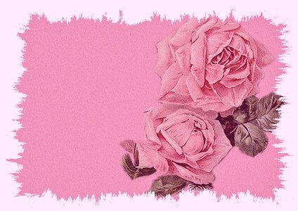 Scrapbook vintage pink rose
