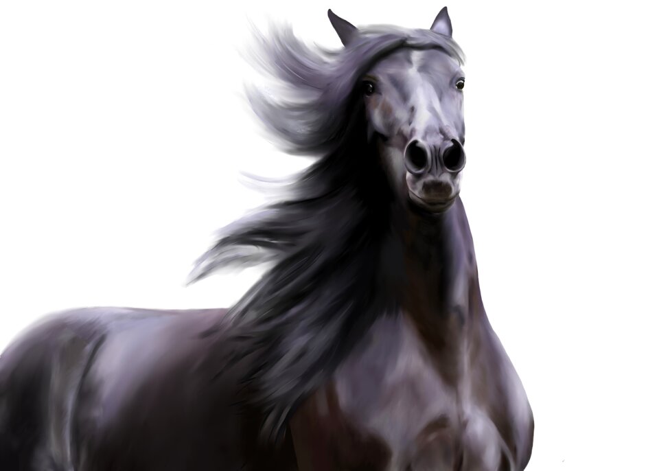Animal nature Free illustrations
