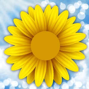 Bokeh sky yellow flower