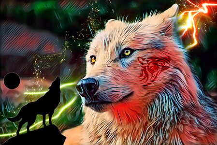 A dog effect jungle