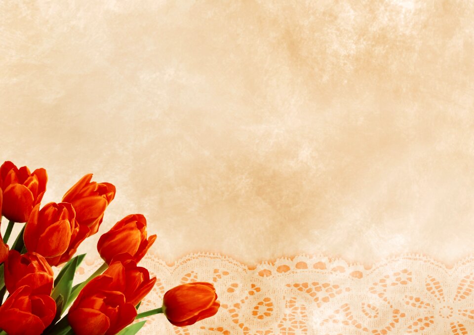 Flowers bouquet greeting card