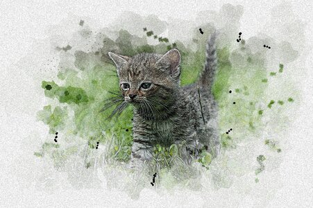 Aquarelle cat kitten