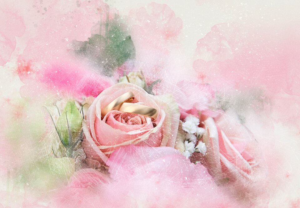 Rings wedding Free illustrations
