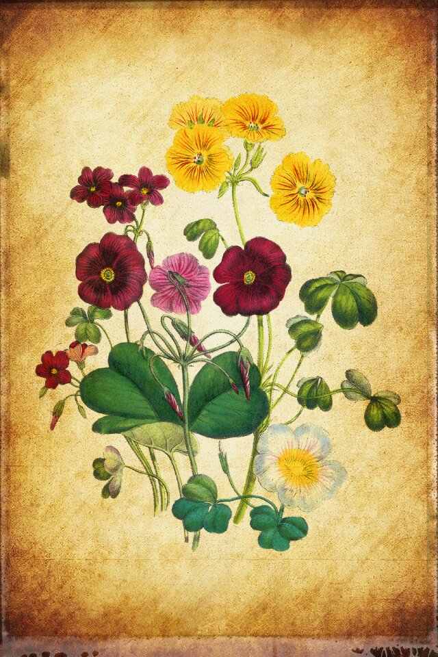 Scrapbooking paper texture