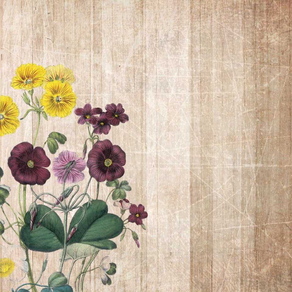 Scrapbooking paper texture
