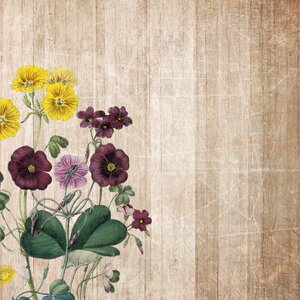 Scrapbooking paper texture