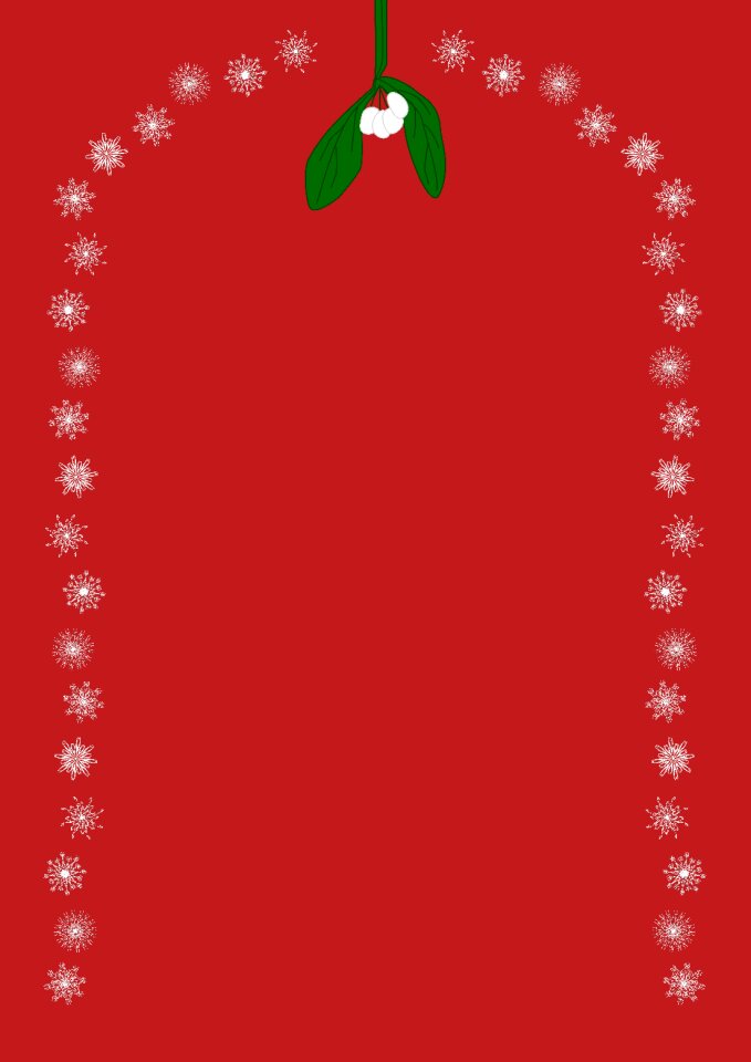 Holly snow snowflake