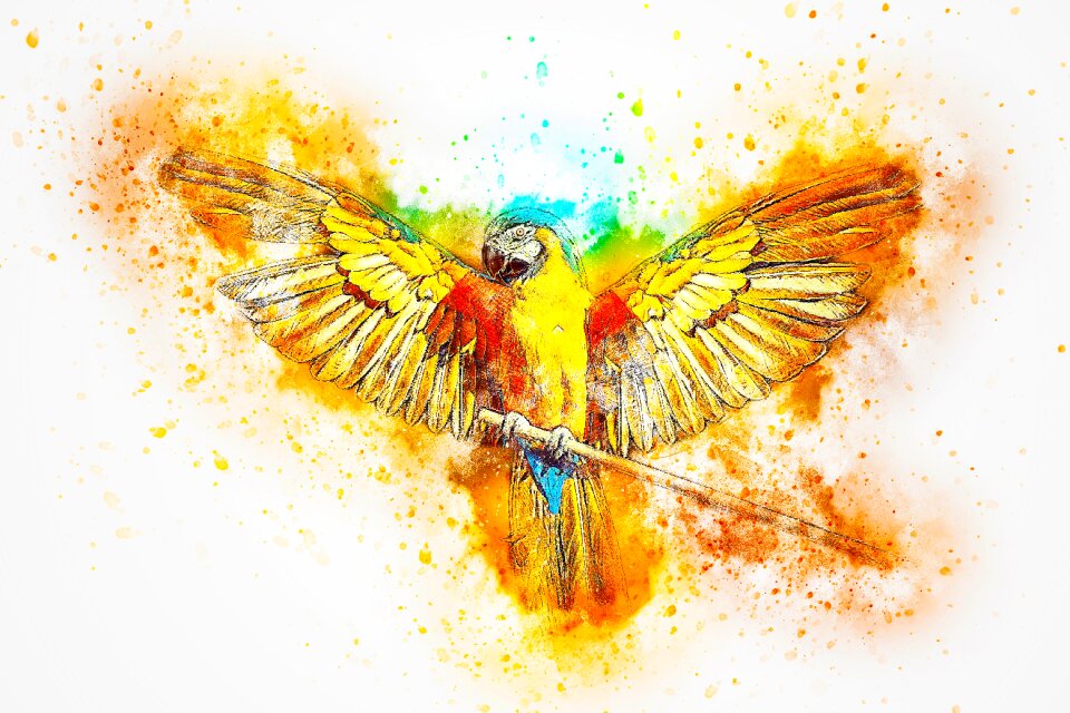 Wings feathers watercolor