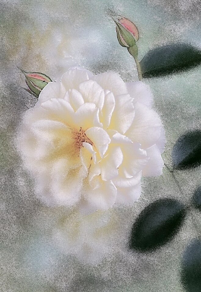 Summer romantic white