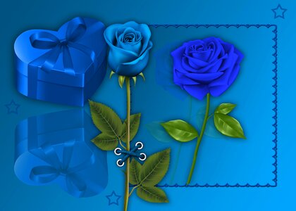 Flower background love