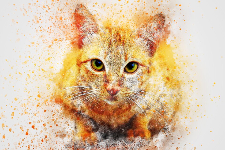 Looking emotion watercolor