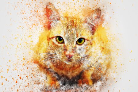 Looking emotion watercolor