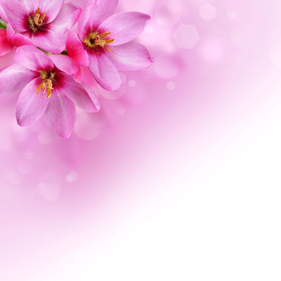 Romantic floral greeting card