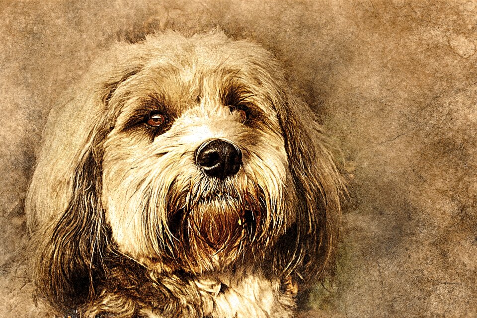 Abstract vintage animal
