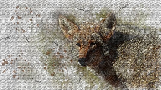 Creative cute wild
