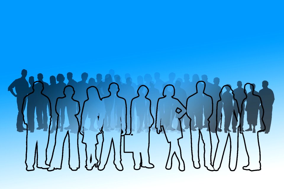 Executive cooperation cohesion