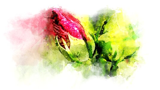 Floral nature color
