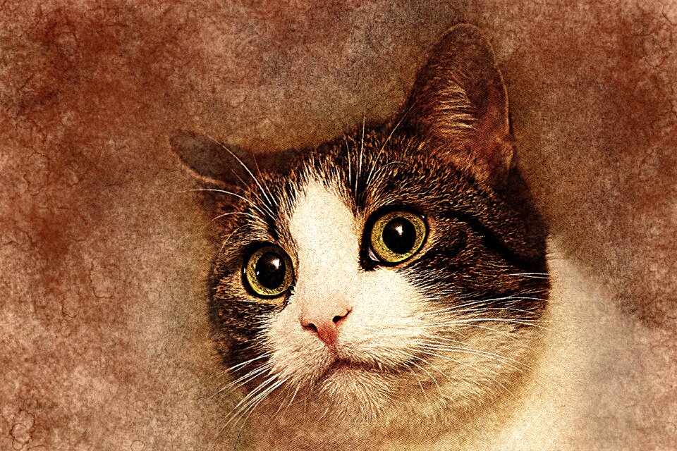 Abstract vintage animal