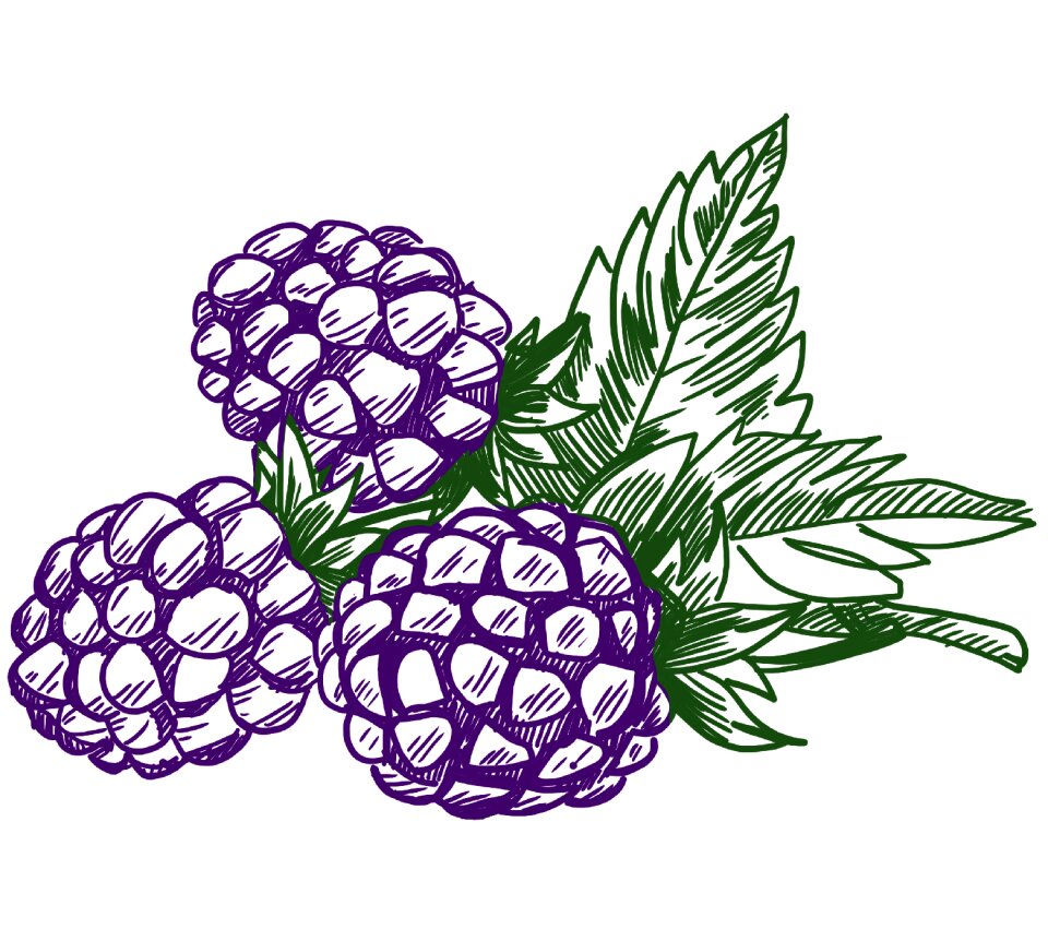 Food fresh sweet