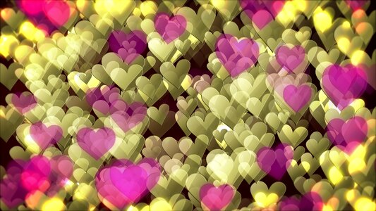 14 february valentine's day valentine