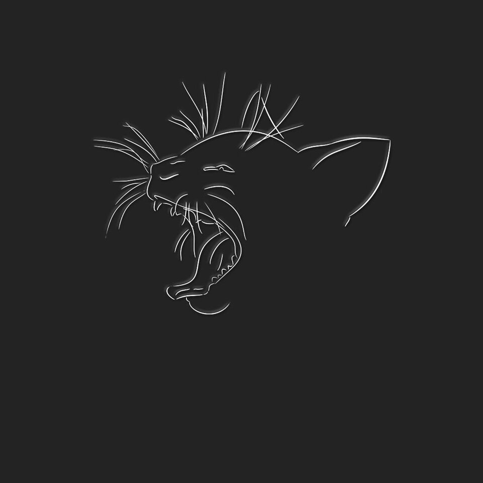 Chalk out cat line drawing