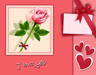 I love you love pink