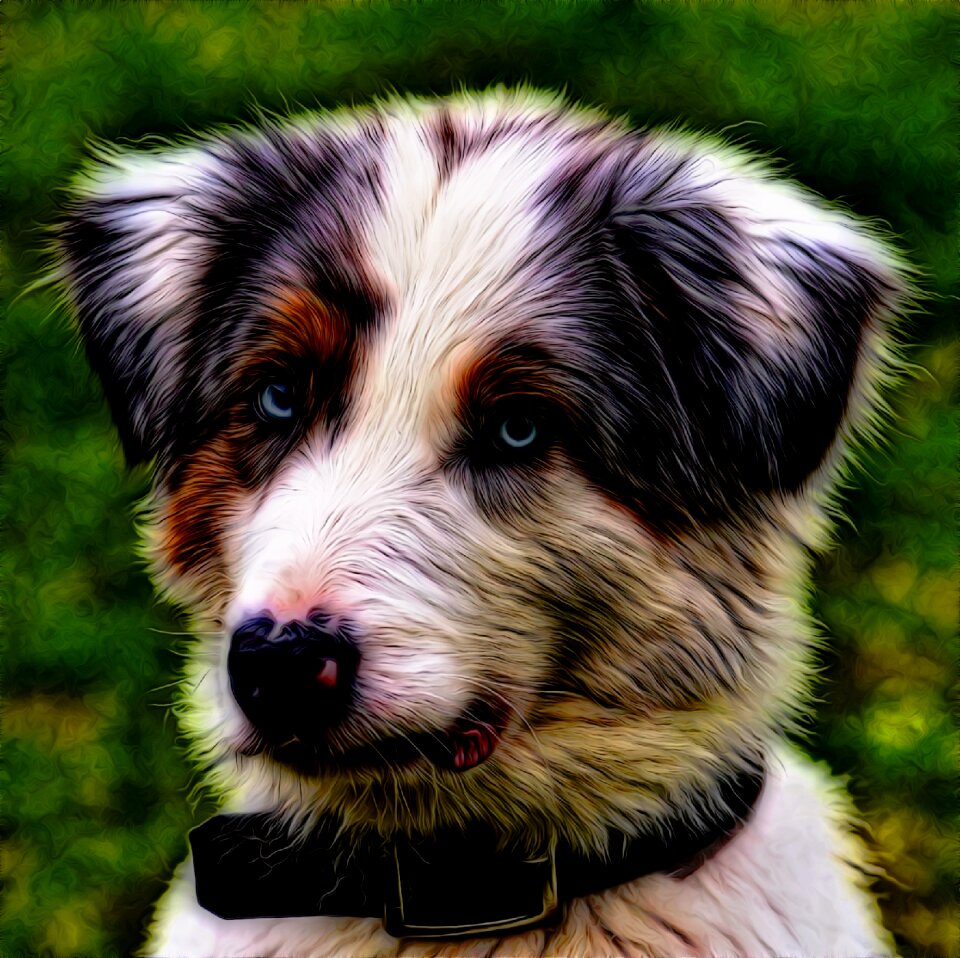 Cute canine domestic