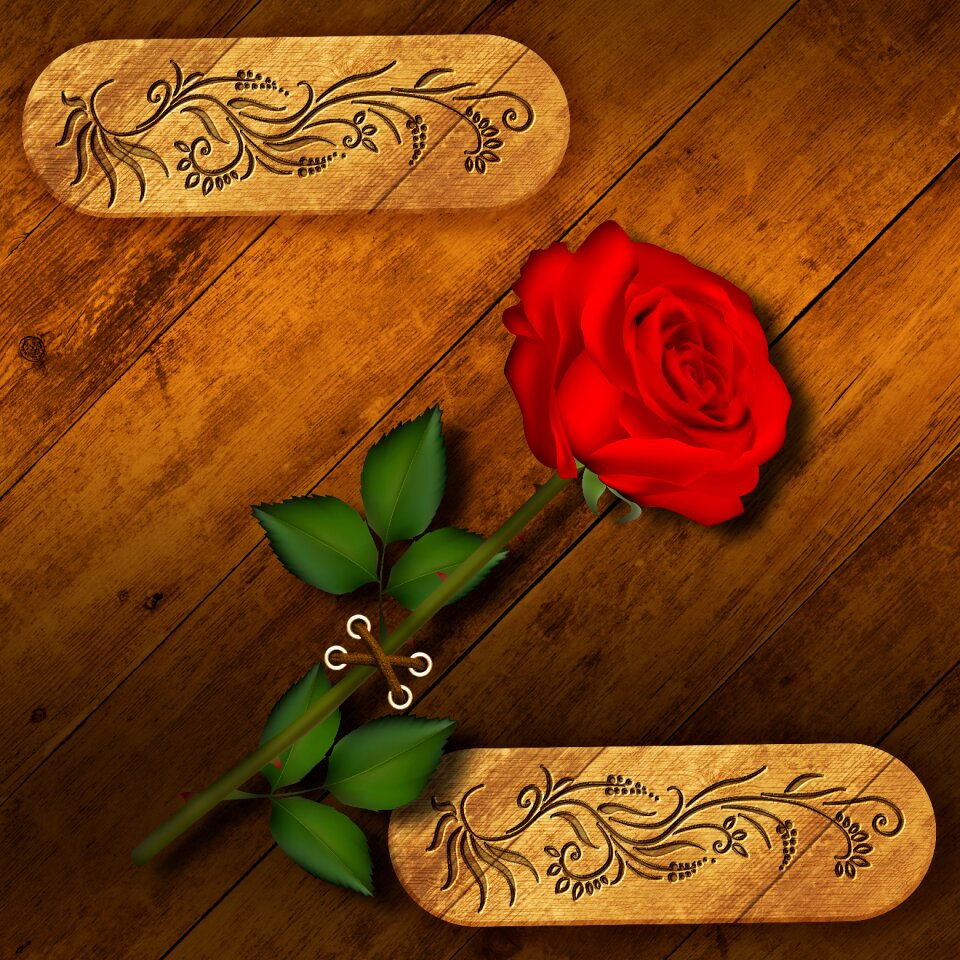 Wood red rose romantico