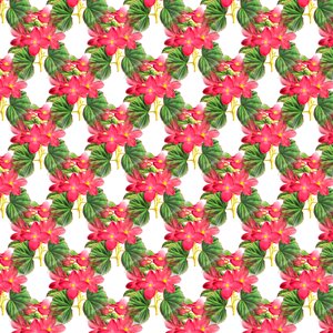 Spring background Free illustrations
