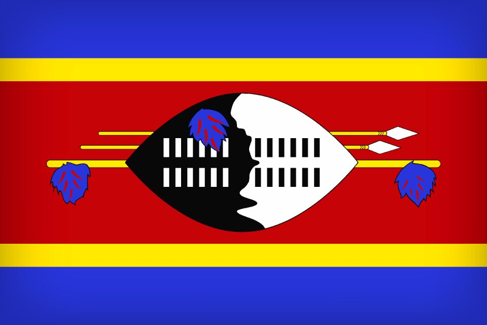 Banner flag government
