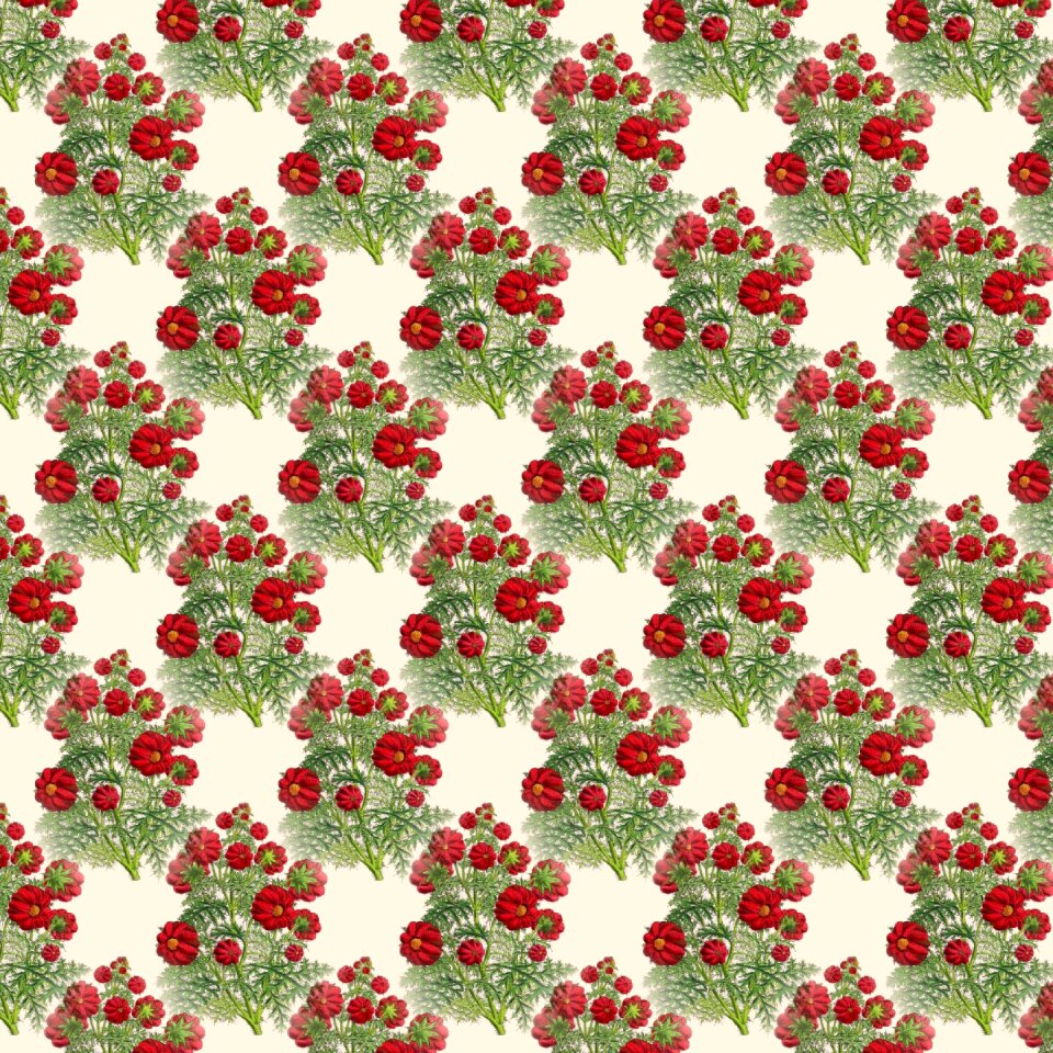 Background scrapbook Free illustrations