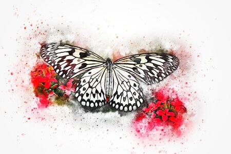 Art abstract watercolor