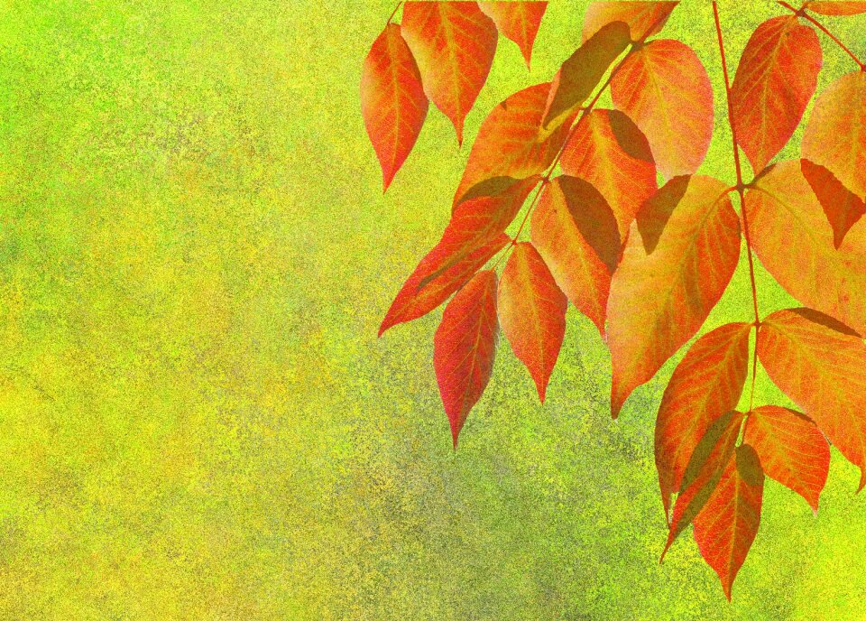 Golden autumn october brown