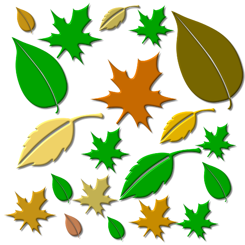 Fall foliage plant autumn