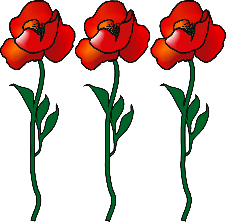 Flowers plant color
