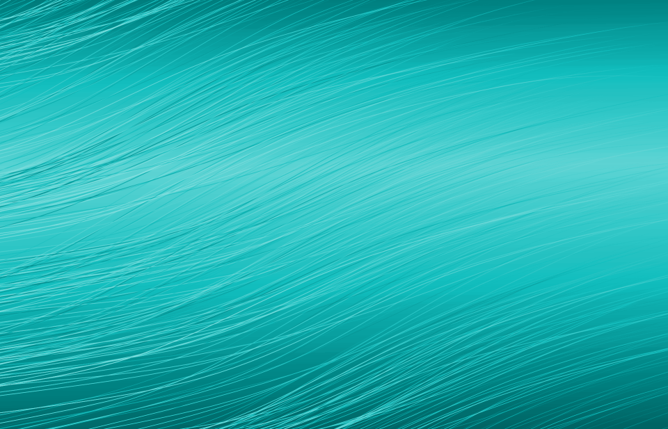 Business shiny border