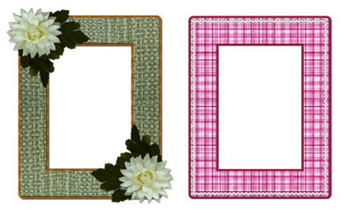 Frame feminine floral