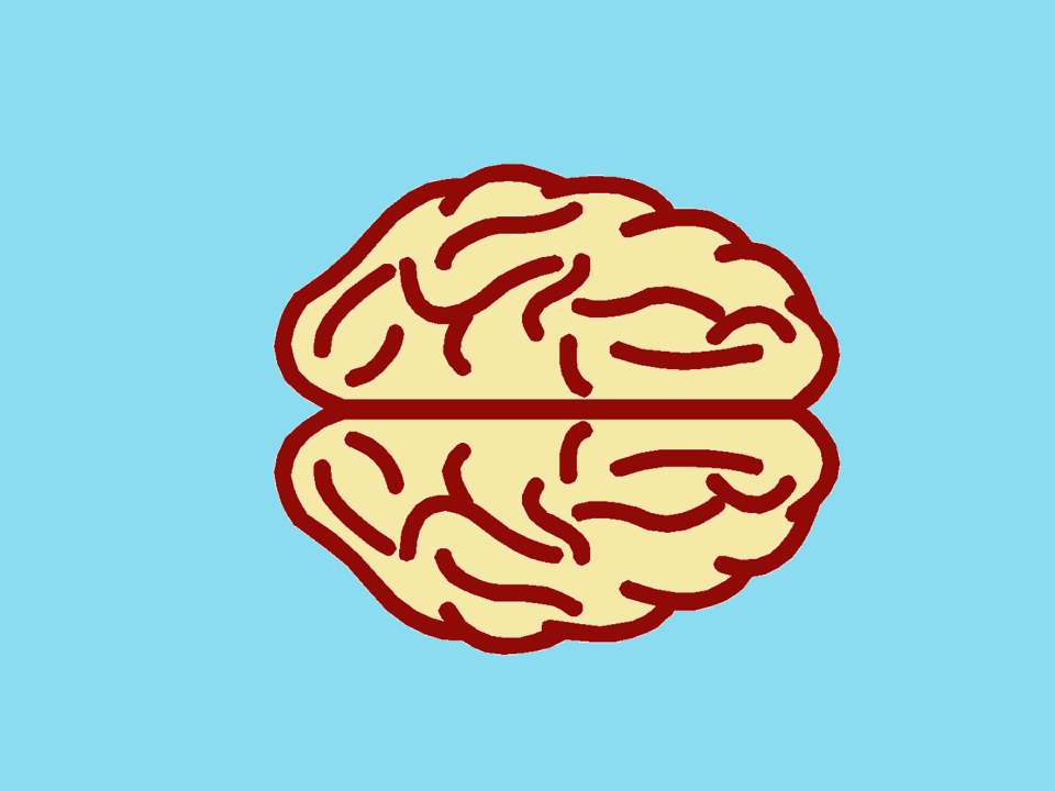 Human mind intelligence