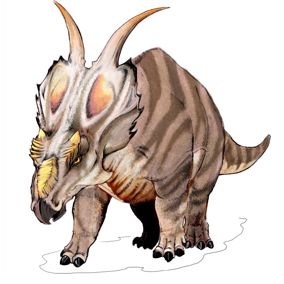 Ceratopsian ceratopsians prehistoric times