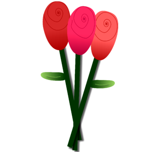 Blossom love passion