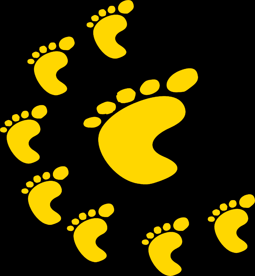 People human footprint
